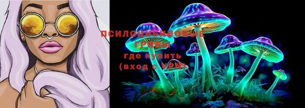 ГАЛЛЮЦИНОГЕННЫЕ ГРИБЫ Алексин